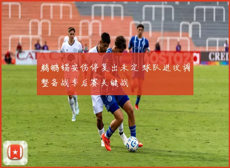 鹈鹕锡安伤停复出未定 球队进攻调整备战季后赛关键战