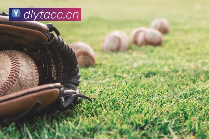 尊龙凯时 - 官方网站服务体系